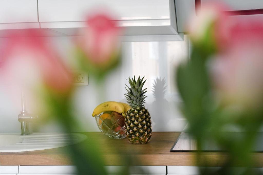 Apartment Lant Zadar Extérieur photo